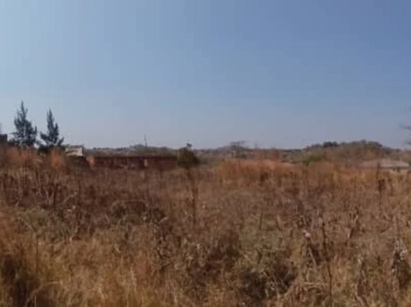 Stands & Residential Land