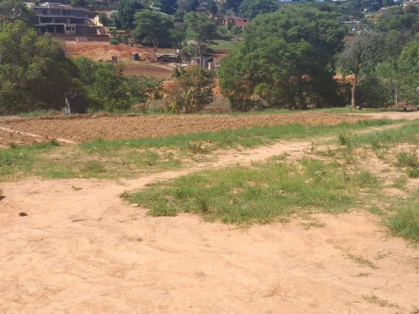 Farm & Agricultural Land