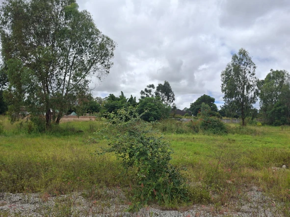 Commercial & Industrial Land