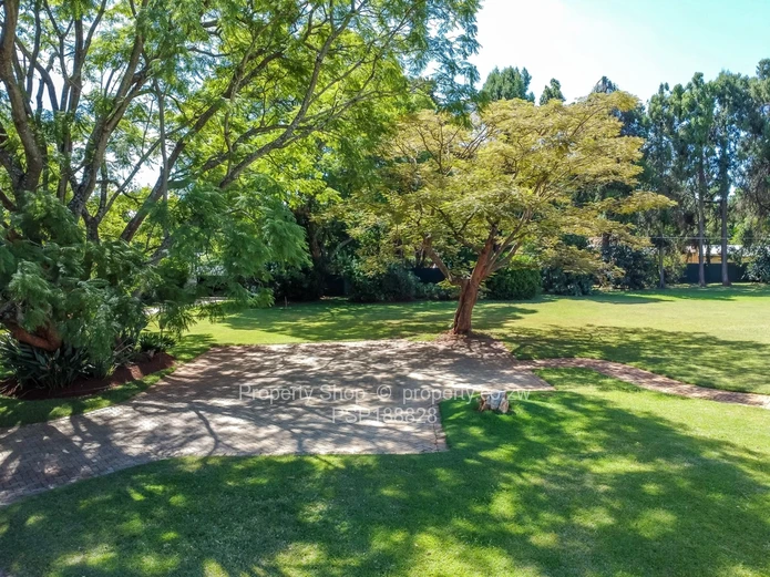 Timeless Elegance Meets Modern Luxury