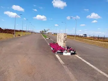 Stands & Residential Land