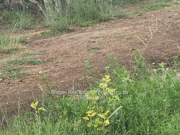 Fast establishing suburb in Gweru North! (Sole Mandate)