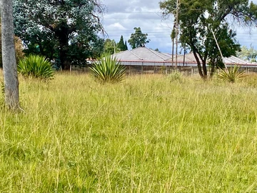 Stands & Residential Land