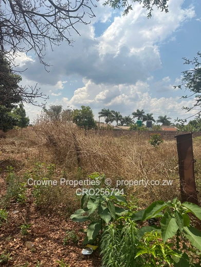 Residential Stand For Sale