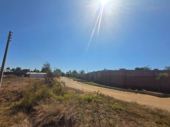Farm & Agricultural Land