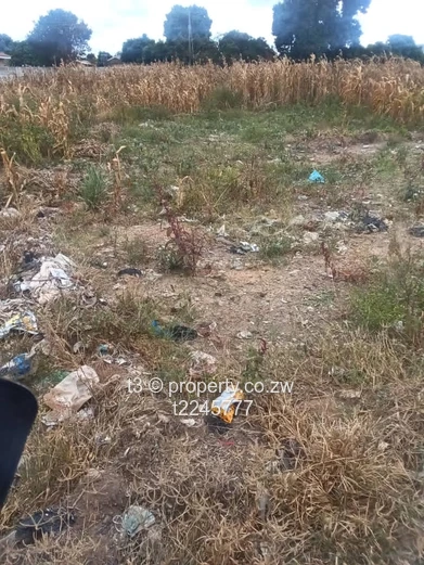 Budiriro 4 Commercial Stand 