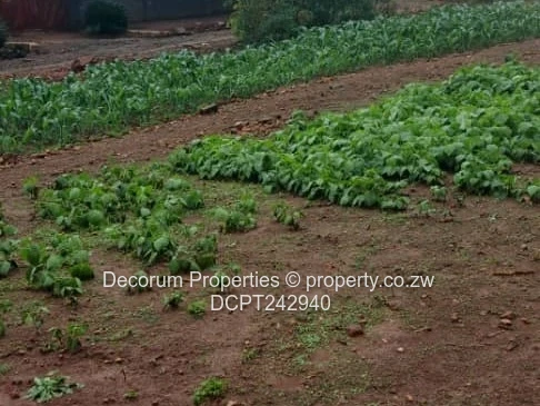 Prime 1011 m² Residential Stand for Sale in Tynwald South