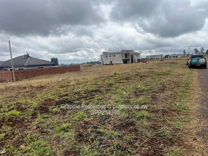 Pomona Nyeredzi Ridge  (Sole Mandate)