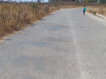 Land