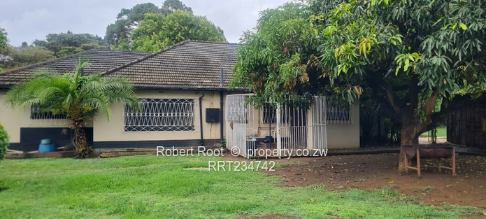 Solid family home. Unlimited potential 