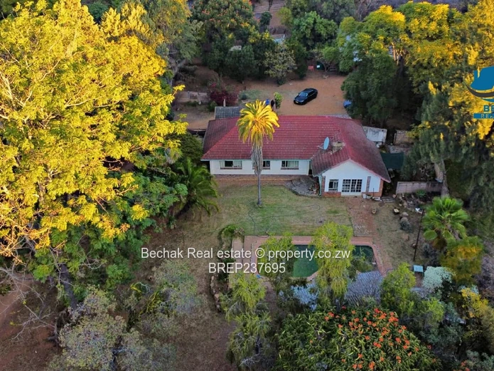 Hillside, Bulawayo: 3BR on 4,047m² — Pool & Borehole