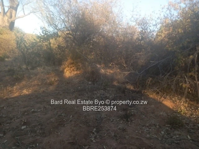 Commercial Stand For Sale – Victoria Falls (Sole Mandate)