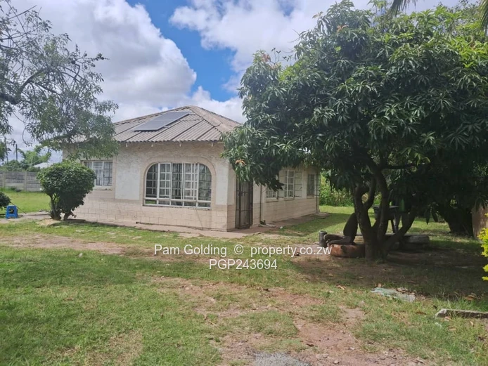 Prime Corner Stand with Development Potential