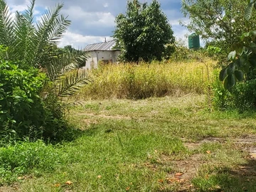 Farm & Agricultural Land