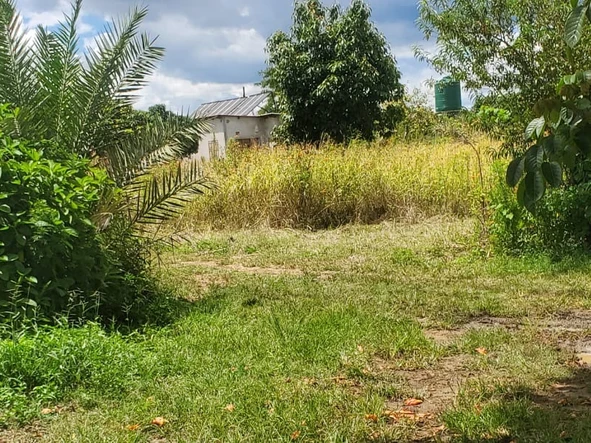 Farm & Agricultural Land