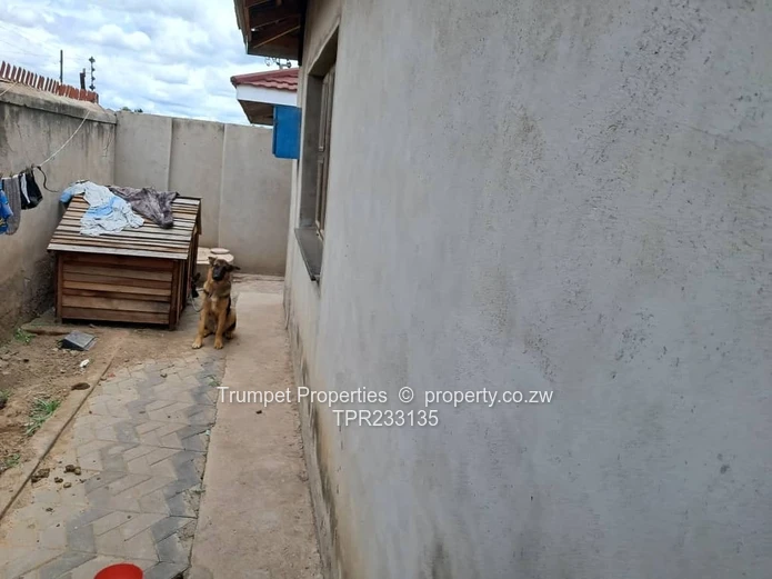 5-Bed Budiriro Home — Secure Gate, Borehole, Paved Yard