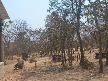 Farm & Agricultural Land