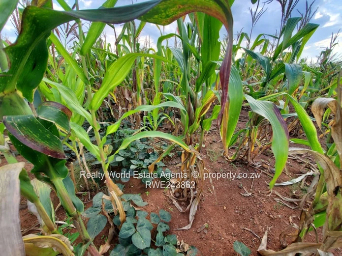 For Sale: Residential Stand in Haydon Park, Harare