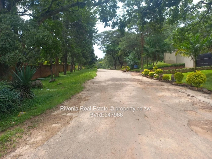 Mature old neighborhood 