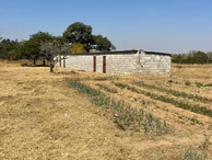 Farm & Agricultural Land