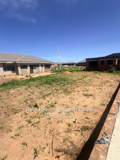 Timire Stands For sale