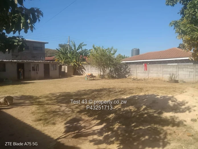 3-Bed Home with Spacious Sunny Yard & Fruit Trees — Zimre Park, Harare