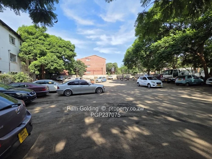 Commercial Corner Stand for Sale, Prime Location. (Sole Mandate)