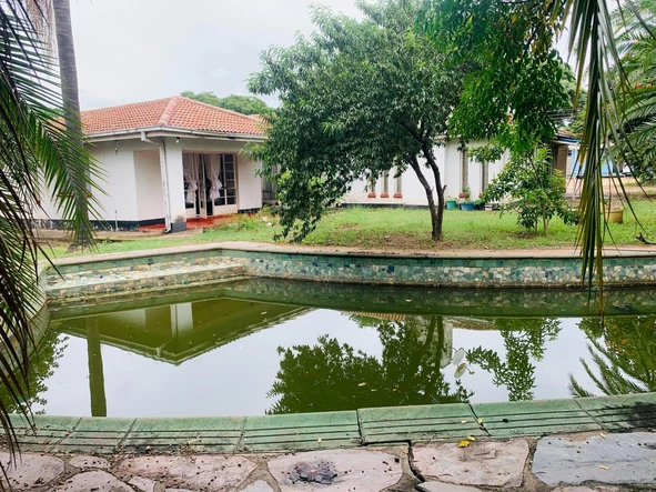 Shop & Retail Property