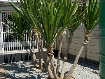 2 Bedroom Garden Flat