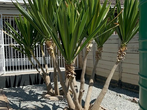 2 Bedroom Garden Flat