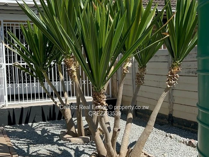 Chadcombe flat for sale