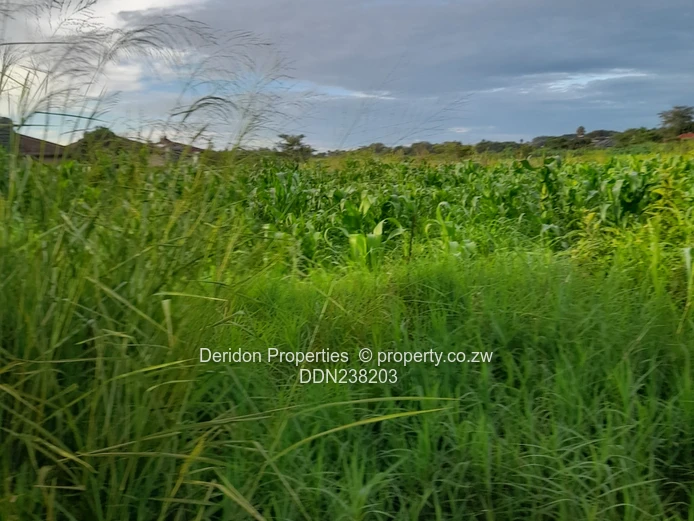 Build your dream home  (Sole Mandate)