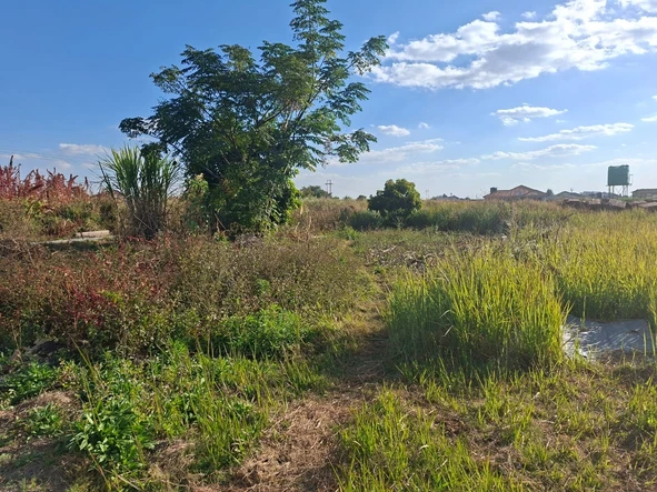 Stands & Residential Land