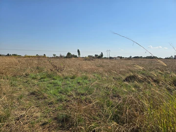 Stands & Residential Land