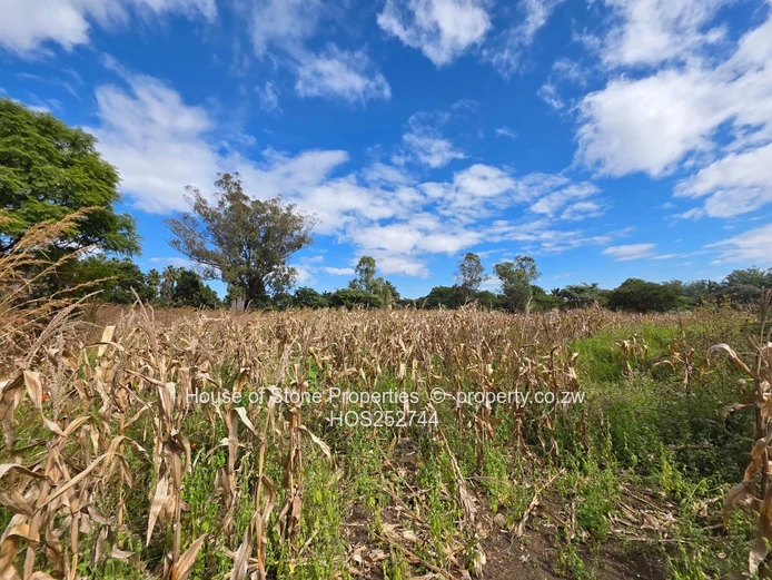 New On The Market| Mt Pleasant, The Chase