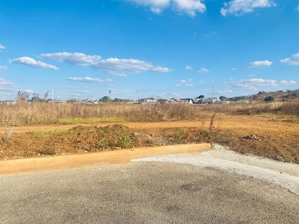 Stands & Residential Land