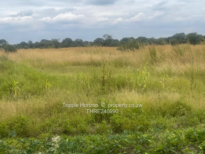 18,000m² Norton Farm — Orchard, Grazing & Main Access