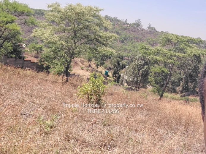 Enormous Investment Opportunity 