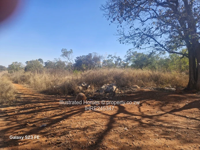 41ha Crowhill Views - Subdividable Land with Main Road Frontage