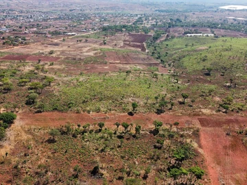 Farm & Agricultural Land