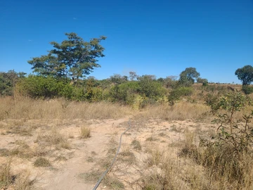 Farm & Agricultural Land