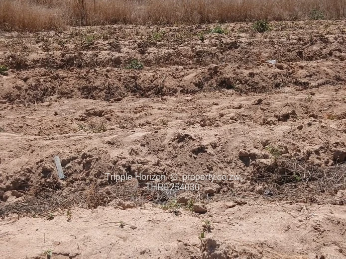 800m² Stand in  Elizabeth park Ruwa —with title deeds