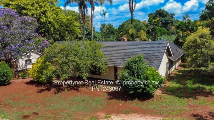 Renovator’s Dream!!!