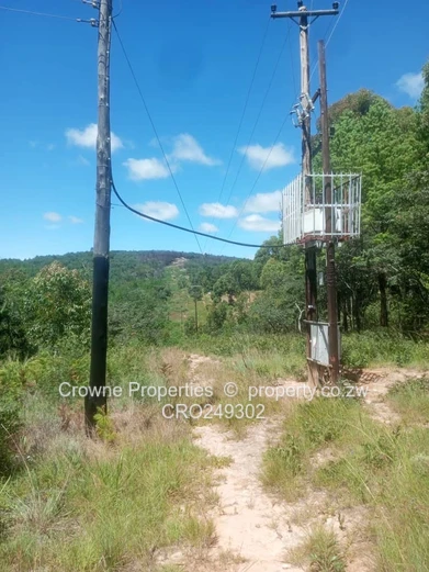 Plot For Sale