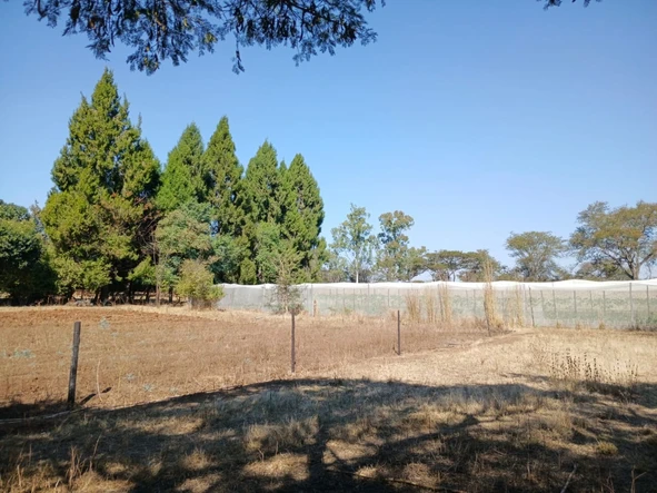 Farm & Agricultural Land