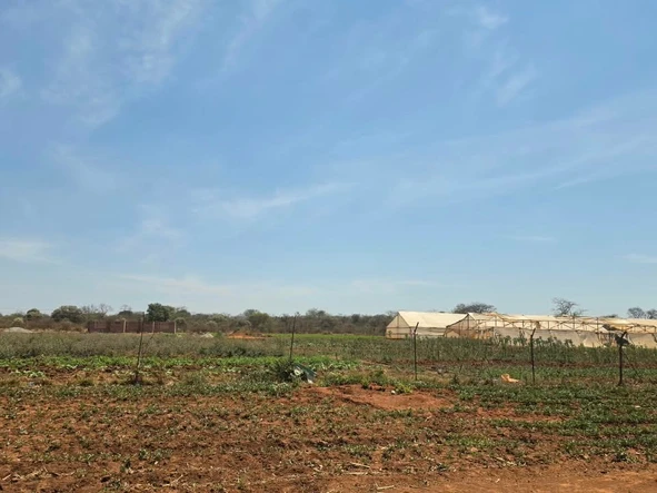 Farm & Agricultural Land