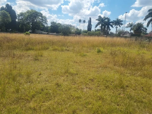 Stands & Residential Land