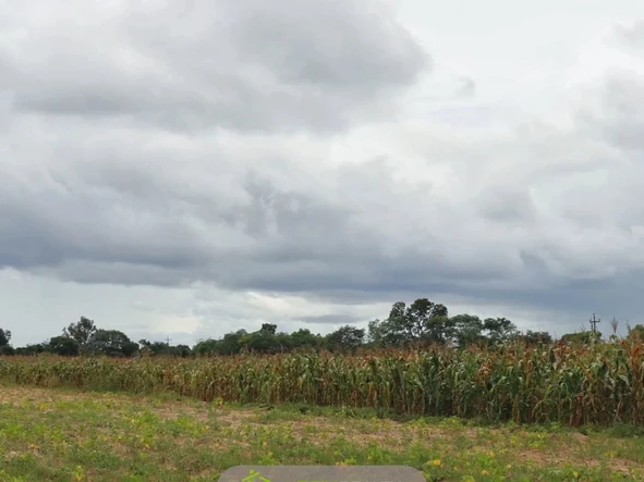 80ha for Sale - Beatrice Pa52/Mhondoro turn off  