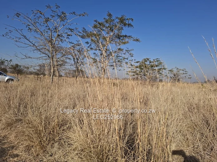 Unlock the Potential of Virgin Land in Selous,Land That Works for Your Future