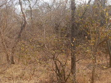 Farm & Agricultural Land
